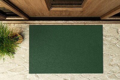 Kültéri ajtószőnyeg az ajtó előtt Smaragd árnyalat