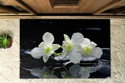 Kültéri ajtó előtti lábtörlő Orchideák