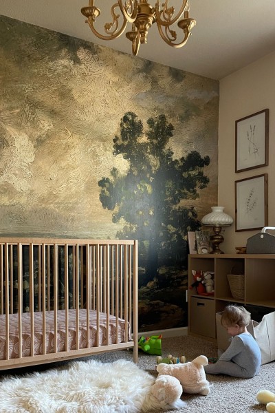 Természetfotós háttérképek – érezze otthonában a természet erejét